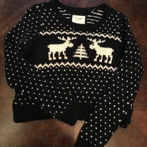 Abercrombie Wool Blend Moose Sweater